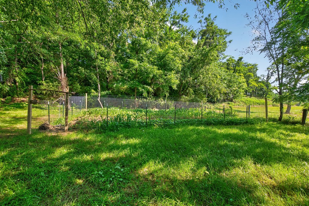 435 Lots Gap Rd Property Photo 47