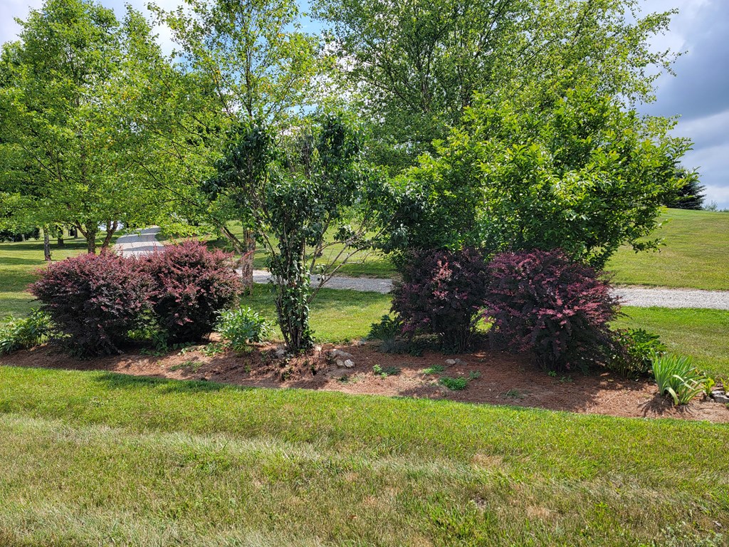 111139 Property Photo 41