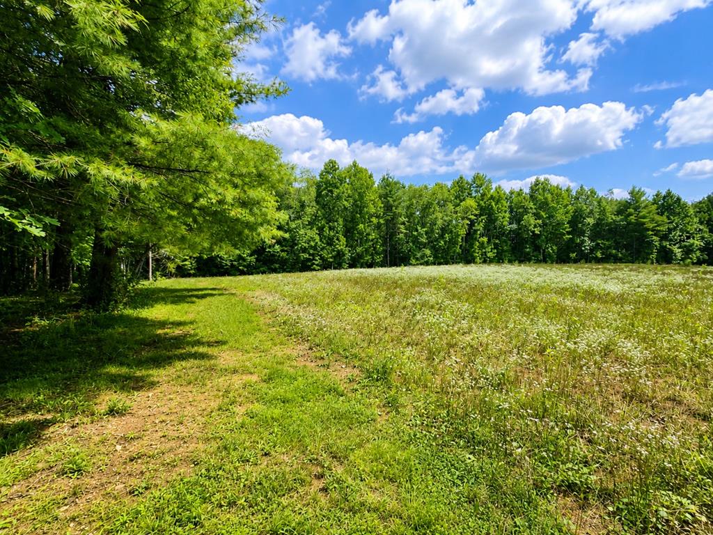 Tbd Link Rd Property Photo 1