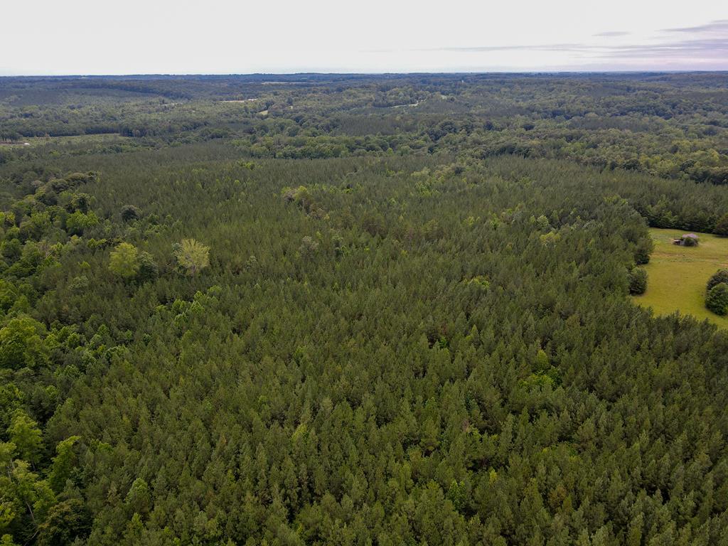 00 Lewis Lane Property Photo 1