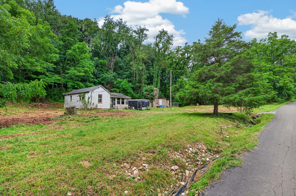 4403 Frog Level Ct Property Photo 2