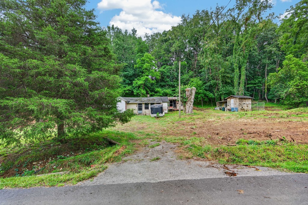 4403 Frog Level Ct Property Photo 3