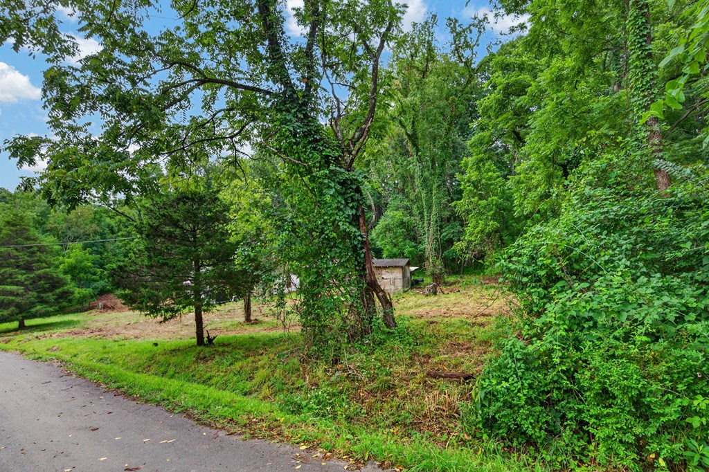 4403 Frog Level Ct Property Photo 4