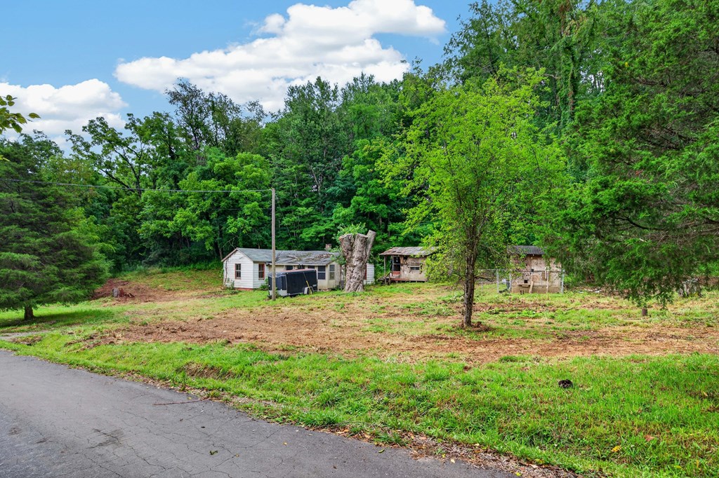 4403 Frog Level Ct Property Photo 5