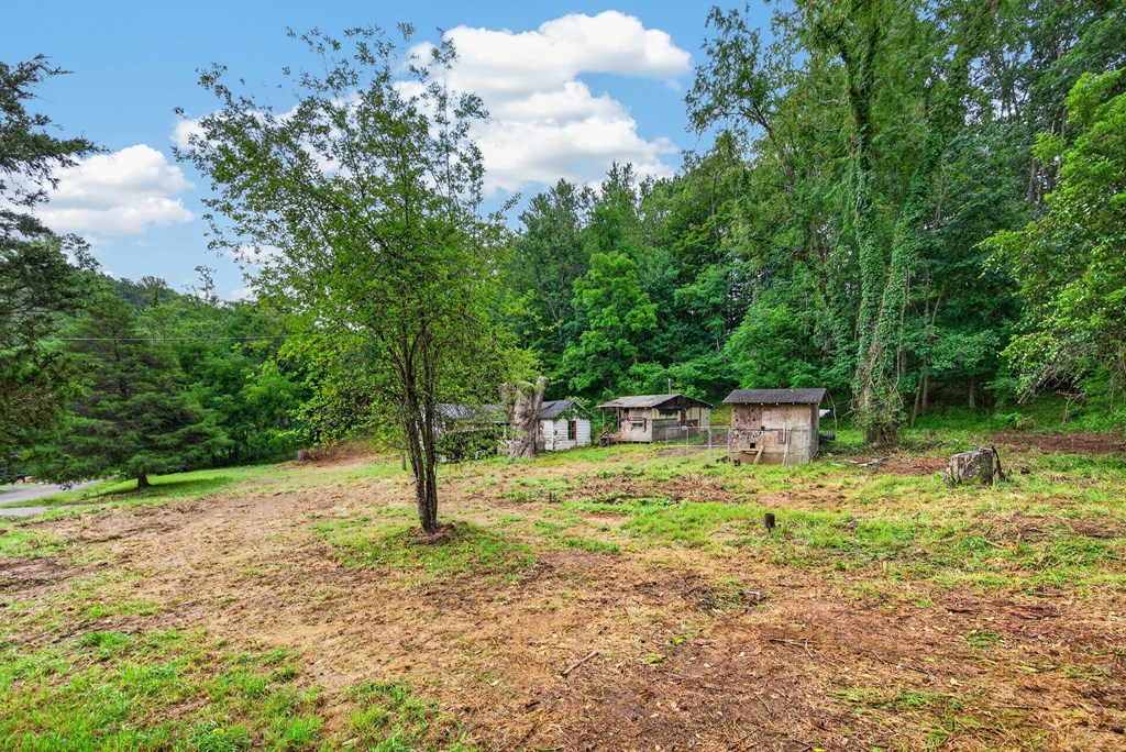 4403 Frog Level Ct Property Photo 6