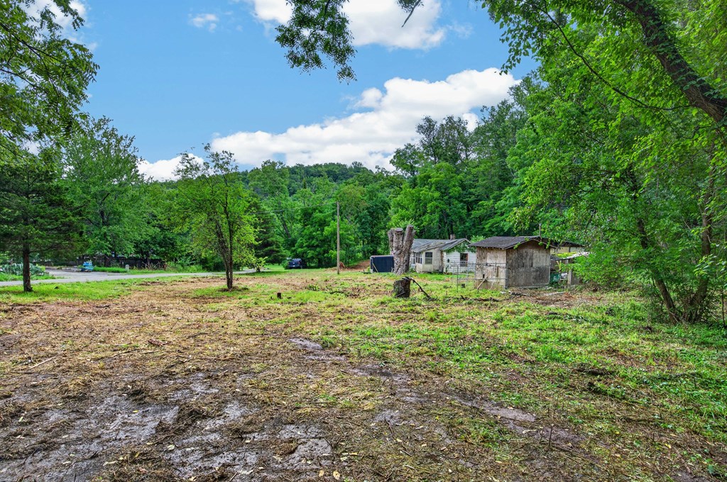 4403 Frog Level Ct Property Photo 7