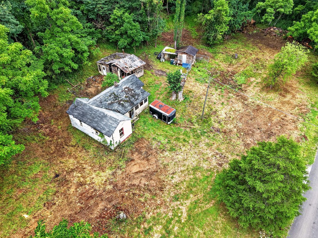 4403 Frog Level Ct Property Photo 17