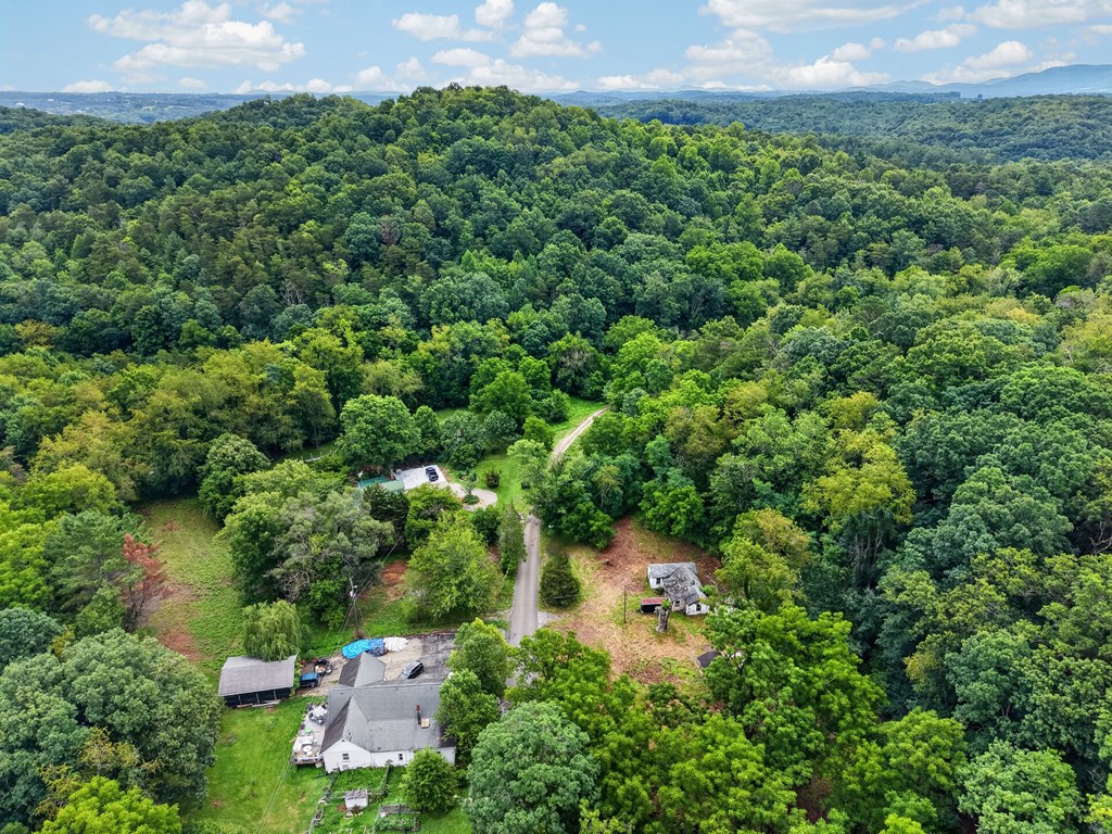 4403 Frog Level Ct Property Photo 23