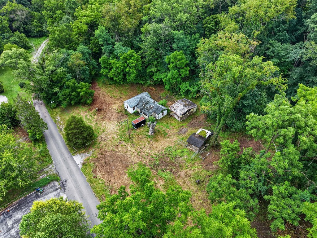 4403 Frog Level Ct Property Photo 24