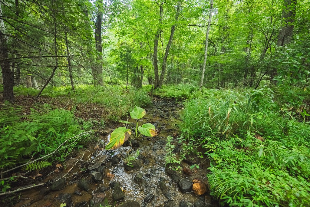 Lot 2 Ridgeview Rd. Nw Property Photo 25