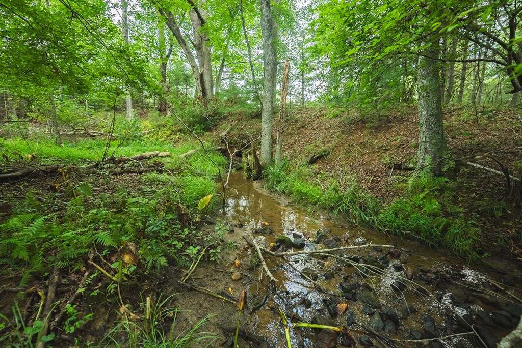 Lot 2 Ridgeview Rd. Nw Property Photo 28