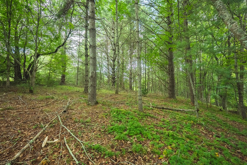 Lot 2 Ridgeview Rd. Nw Property Photo 31