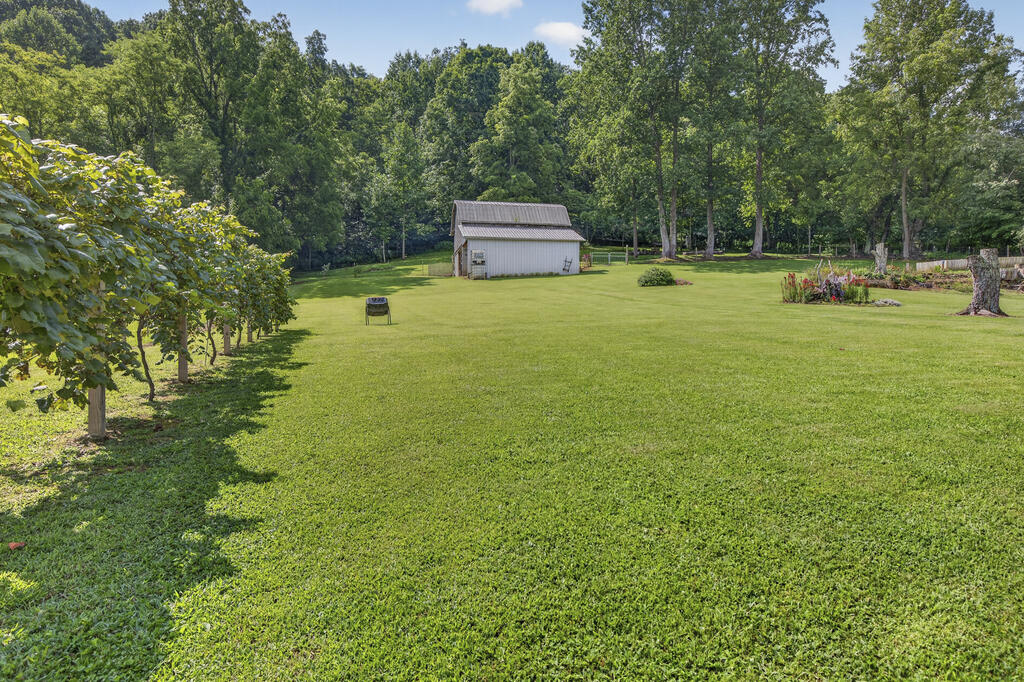 13422 Countiss Rd Property Photo 87
