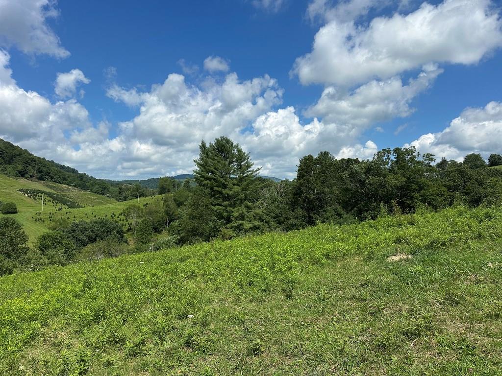 Tbd Fox Creek Rd Property Photo 1