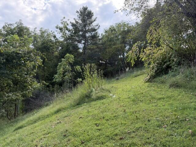 269 Vickey Property Photo 24