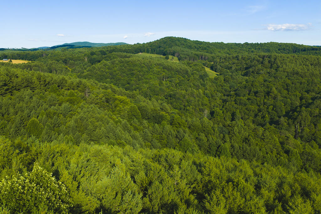 Tbd Sawmill Hill Rd. Property Photo 1