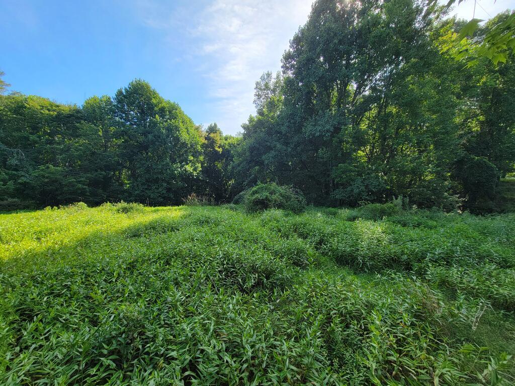 Tbd Grassy Creek Rd Property Photo 1