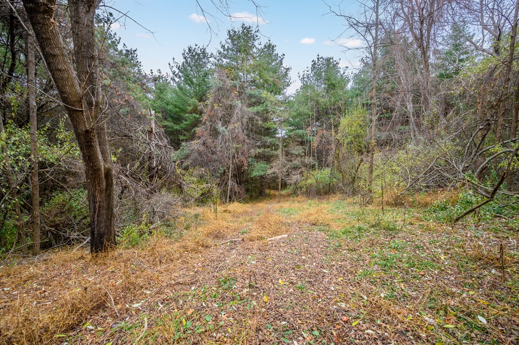 595 Wild Cherry Road Ne Property Photo 4