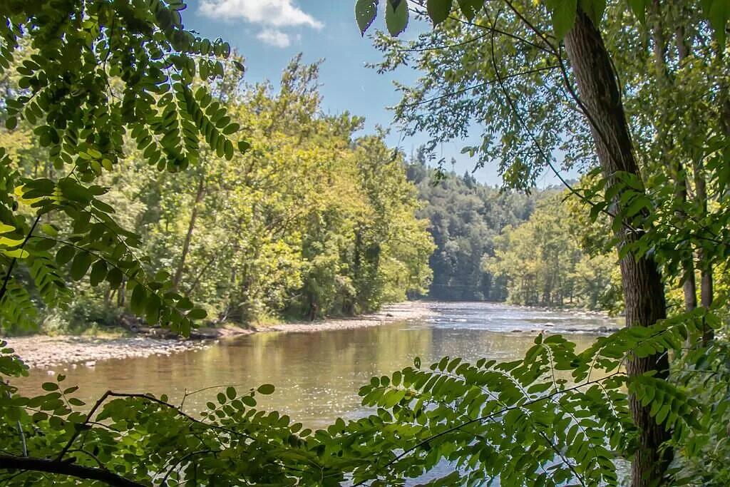 19080 North Fork River Rd Property Photo 46
