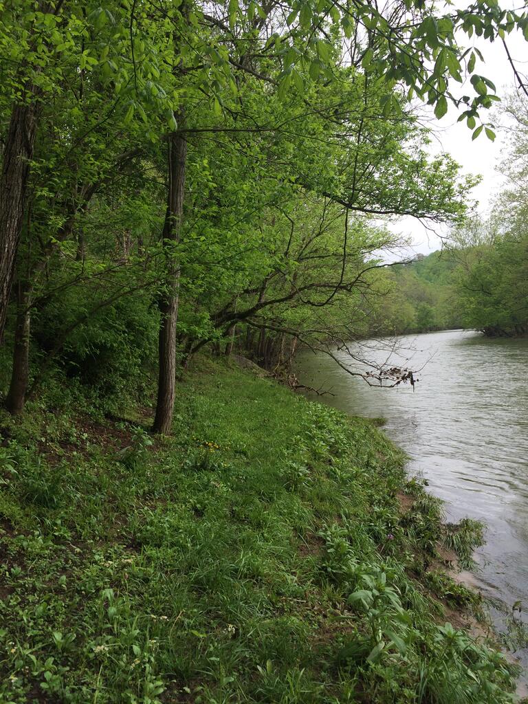 19080 North Fork River Rd Property Photo 49