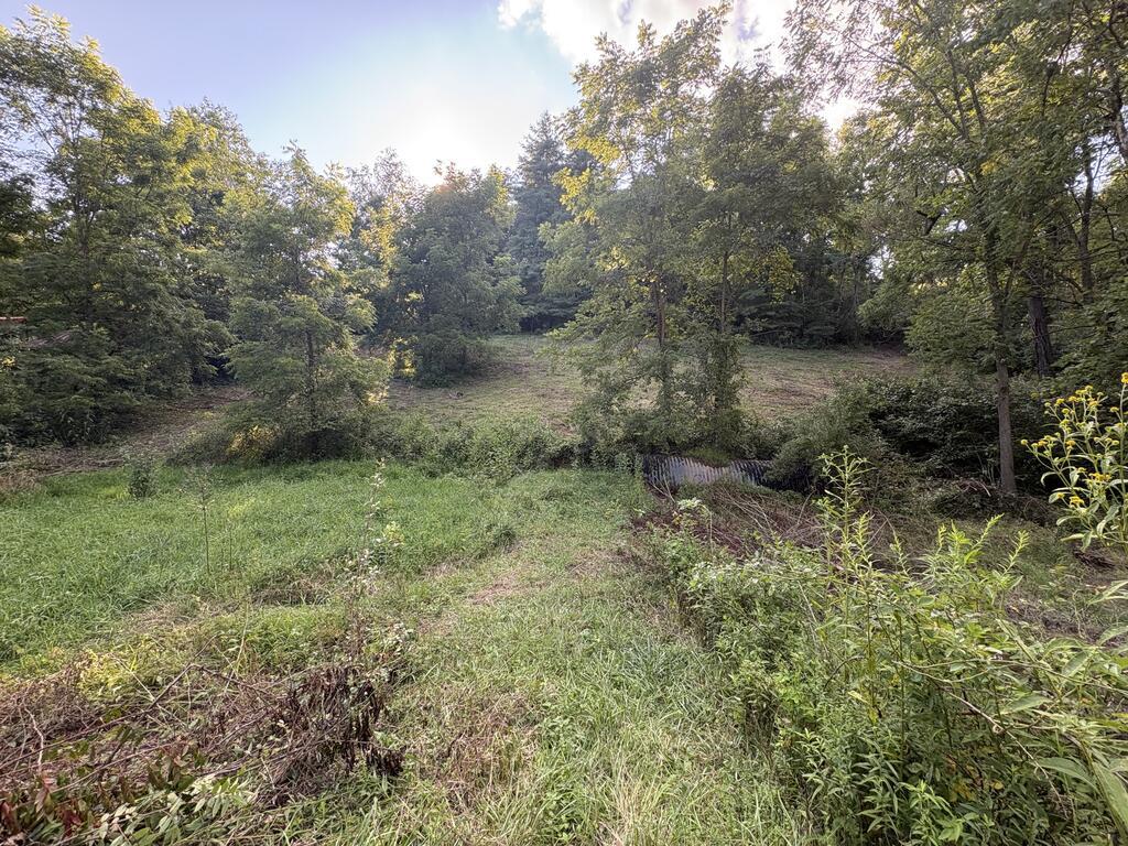 TBD Tattle Branch Rd