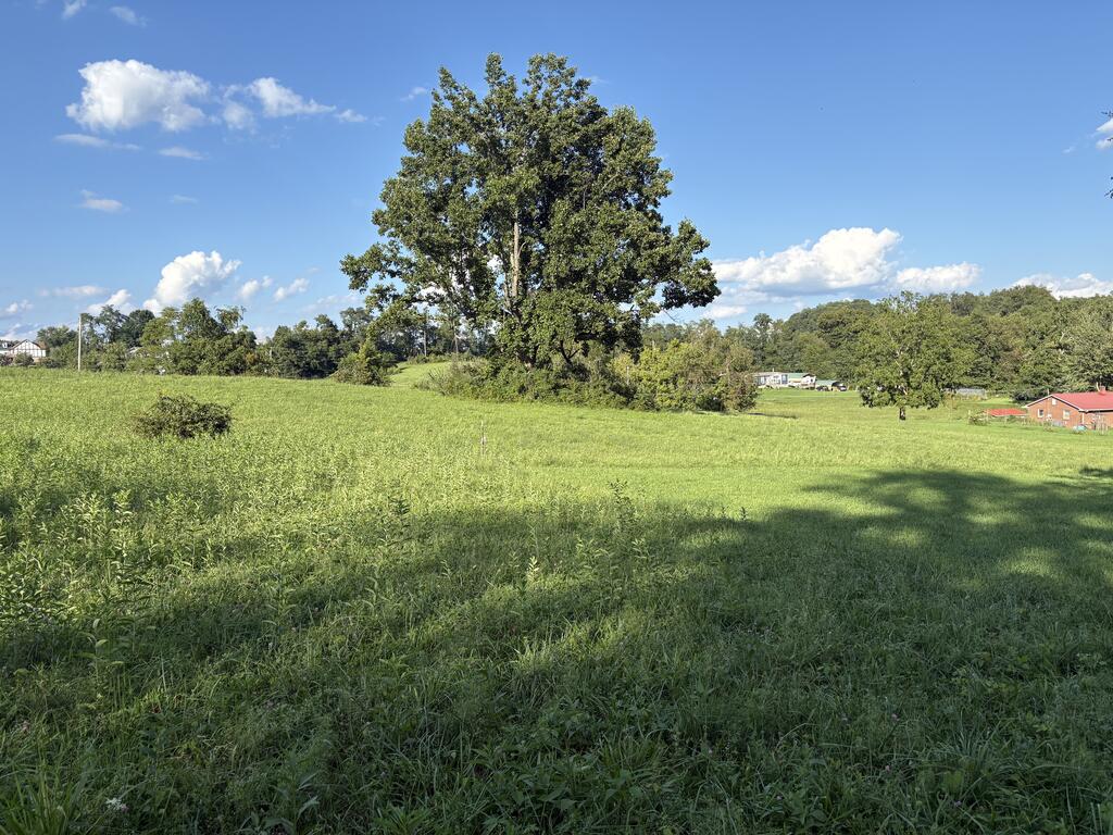Tbd Chestnut Ridge Rd Assemblage Property Photo 1