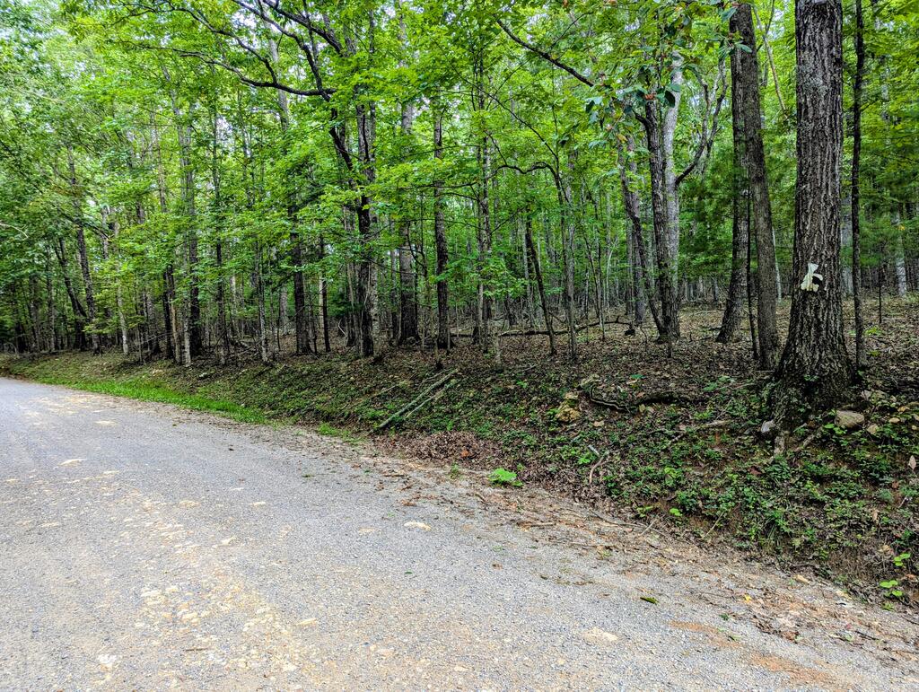 Tbd Cannady School Rd Property Photo 1