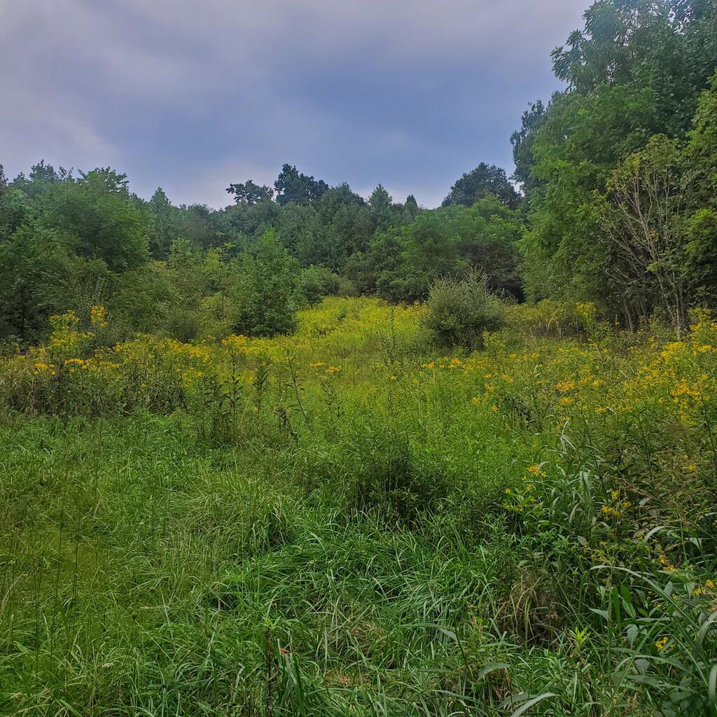 949 Palmer Ave Property Photo 1