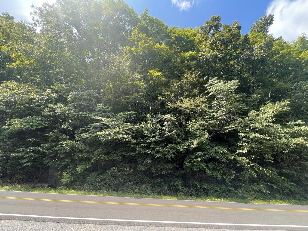 1520 Pioneer Rd. Property Photo 1