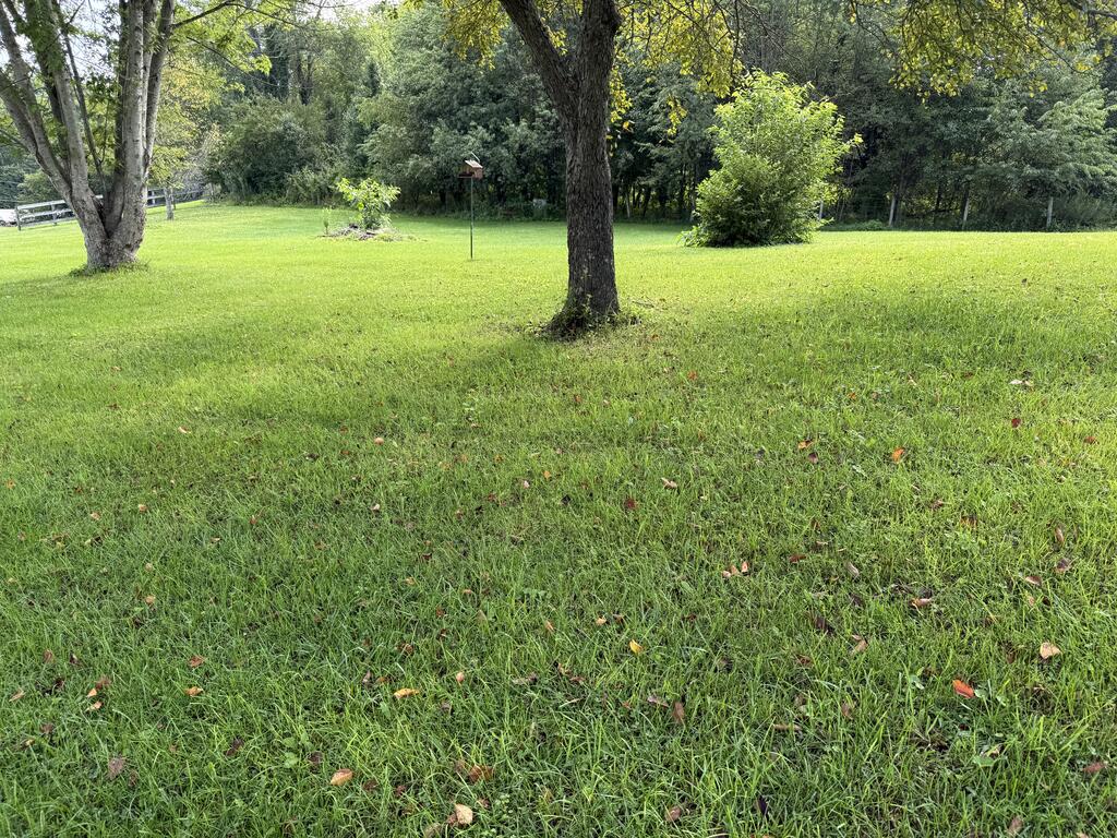 545 Barton Ln. Property Photo 2