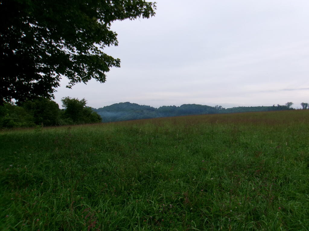 Tbd Little Acres Road Property Photo 1