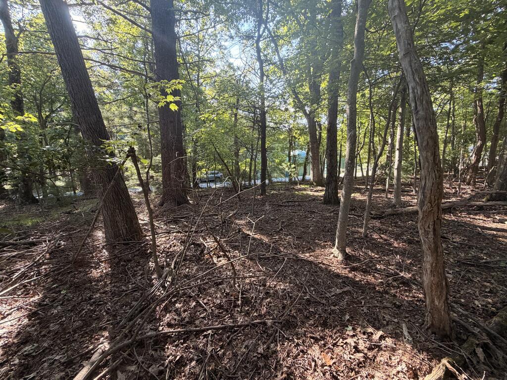 Tbd Cascade Trail Property Photo 1