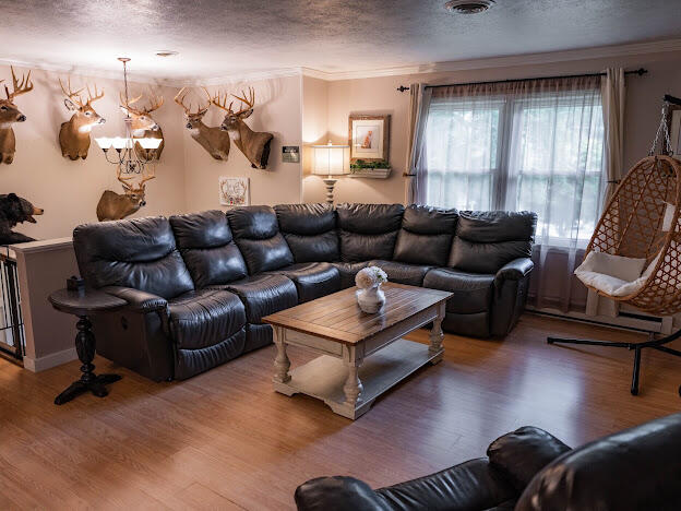 25597 Cornelius Drive Property Photo 24