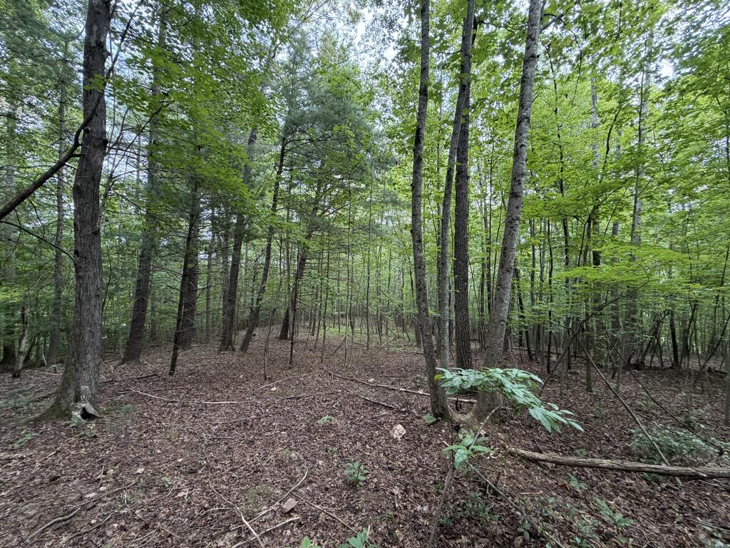 0 Deer Creek Run Property Photo 2
