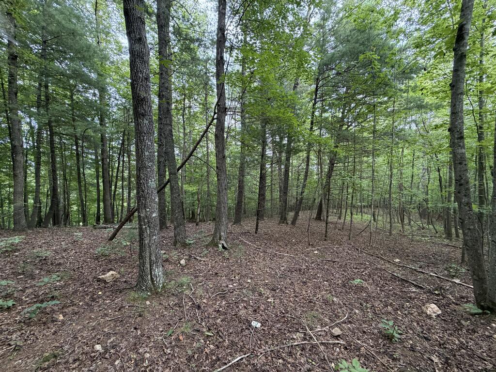 0 Deer Creek Run Property Photo 3