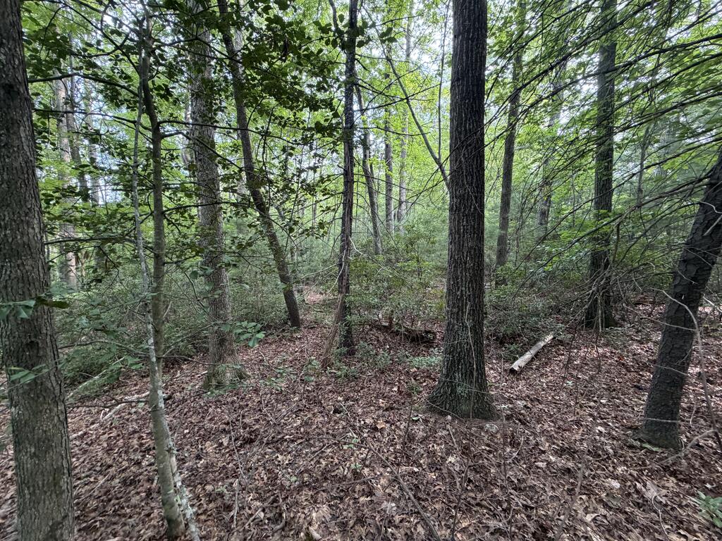 0 Deer Creek Run Property Photo 4