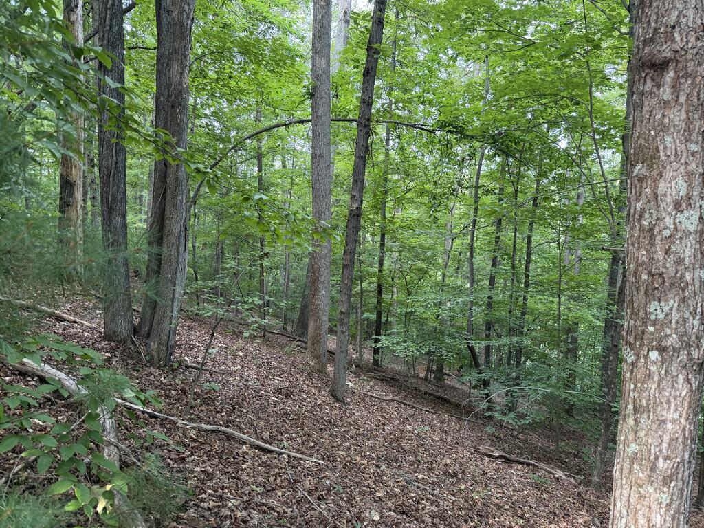 0 Deer Creek Run Property Photo 5