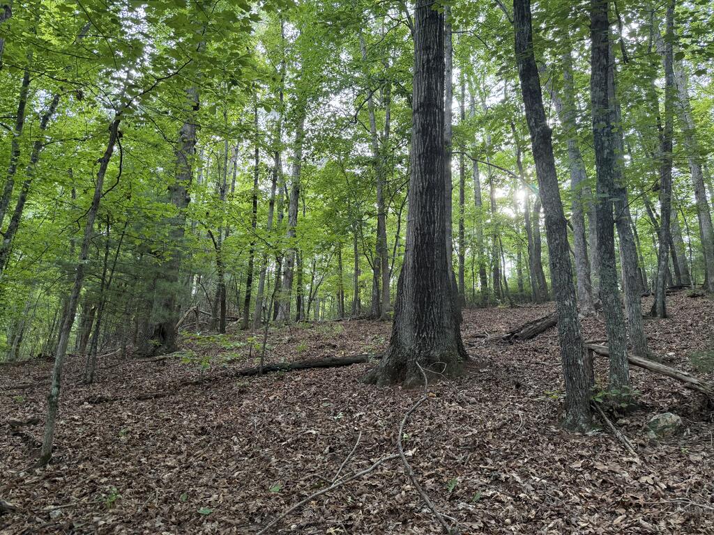 0 Deer Creek Run Property Photo 6