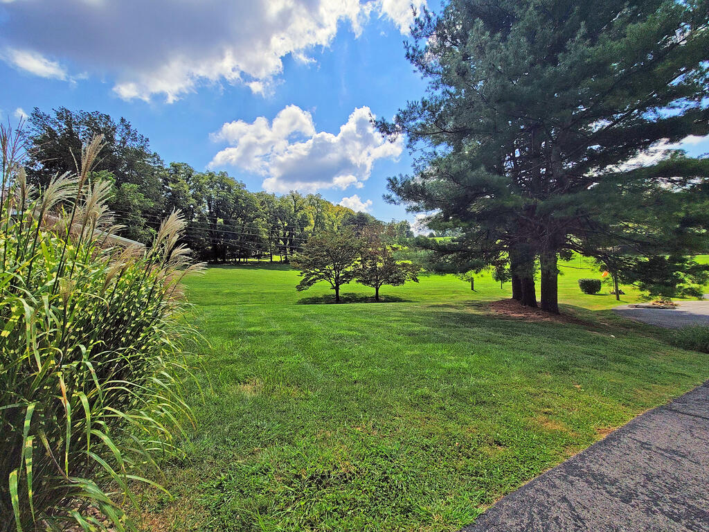 133 Glenrochie Drive Property Photo 28