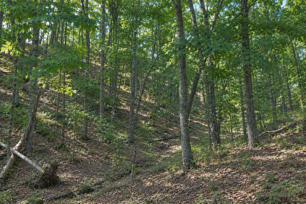 Tbd Reynolds Ridge Rd Property Photo 1