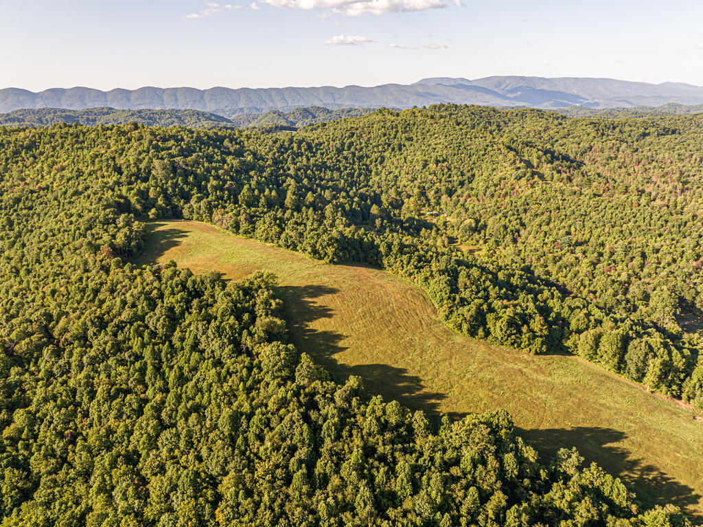 Tbd Harleywood Road 85 Acres Property Photo 1