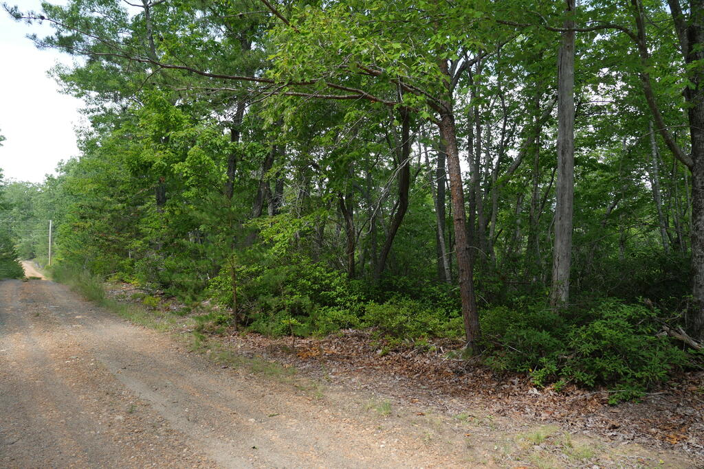 0 Wesley Drive Property Photo 2