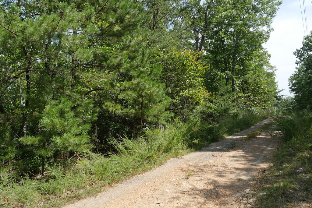 0 Wesley Drive Property Photo 9