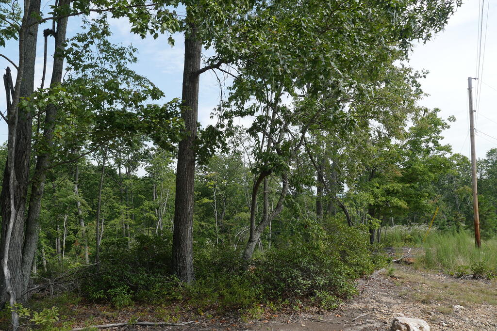 0 Wesley Drive Property Photo 10