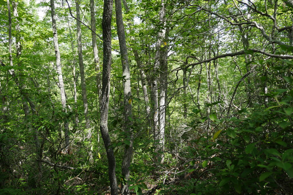 0 Wesley Drive Property Photo 18