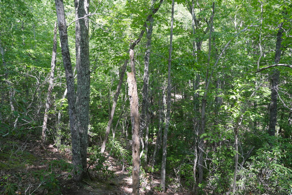0 Wesley Drive Property Photo 22