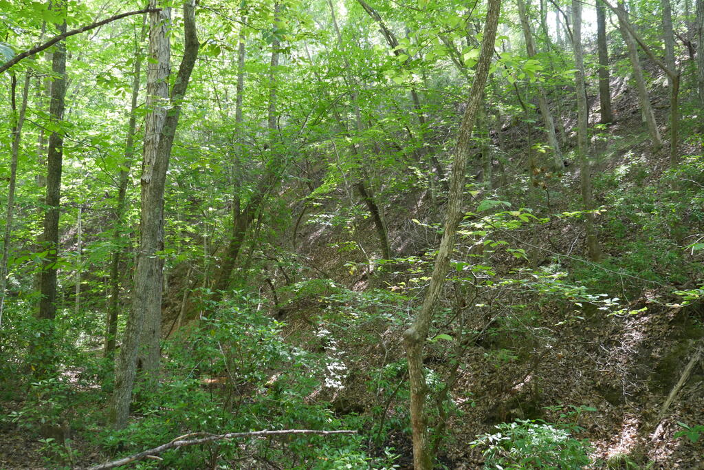 0 Wesley Drive Property Photo 25