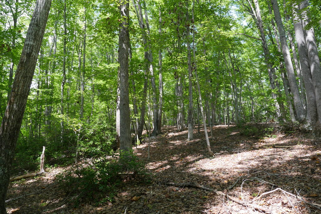 0 Wesley Drive Property Photo 28