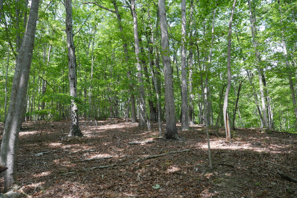 0 Wesley Drive Property Photo 29