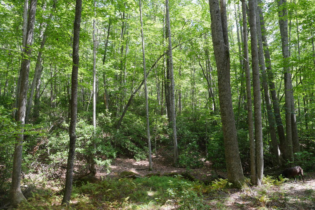 0 Wesley Drive Property Photo 33